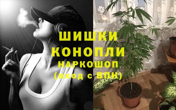 трава Алексин
