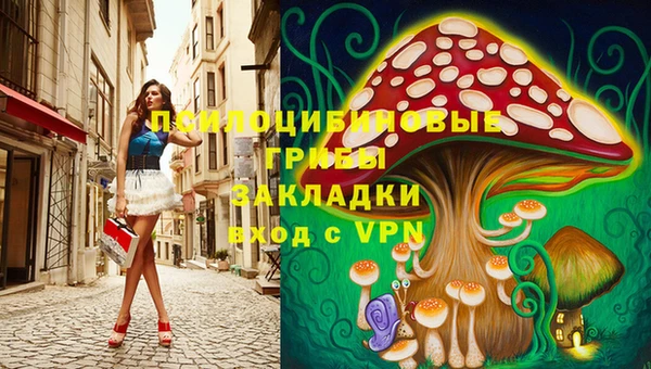 сатива Сатка