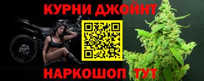 сатива Кинель