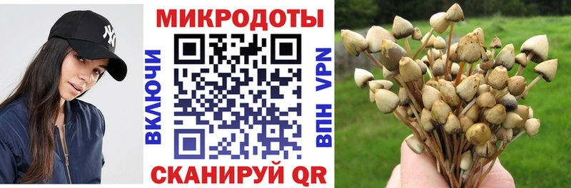 shop Telegram  блэк спрут как войти  Тихвин  Галлюциногенные грибы Cubensis 