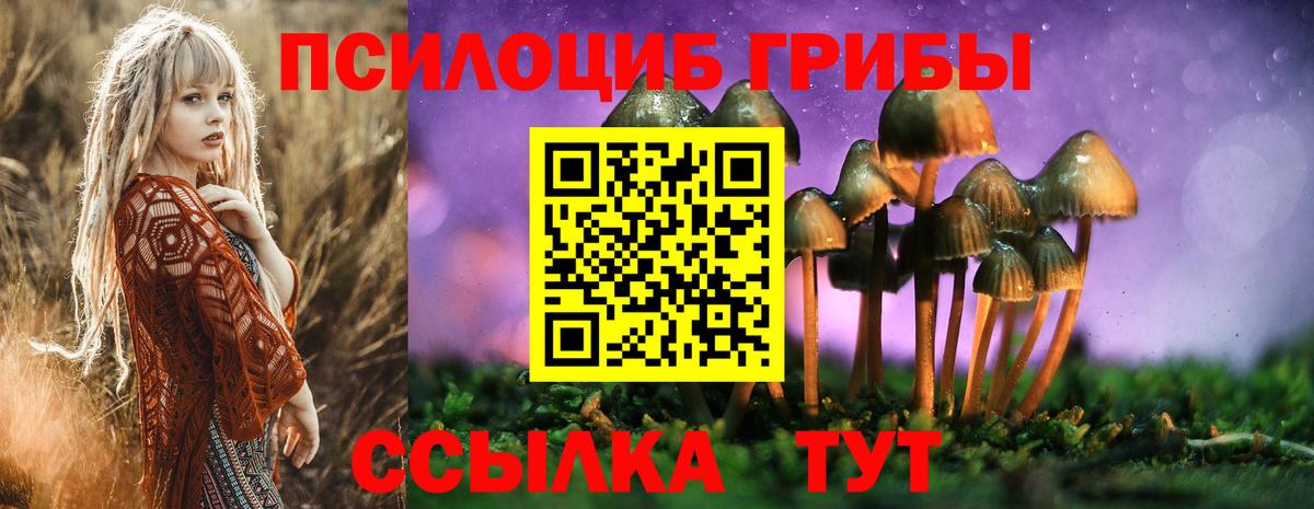 Тихвин  где можно купить   Вход с VPN  Псилоцибиновые грибы ЛСД 