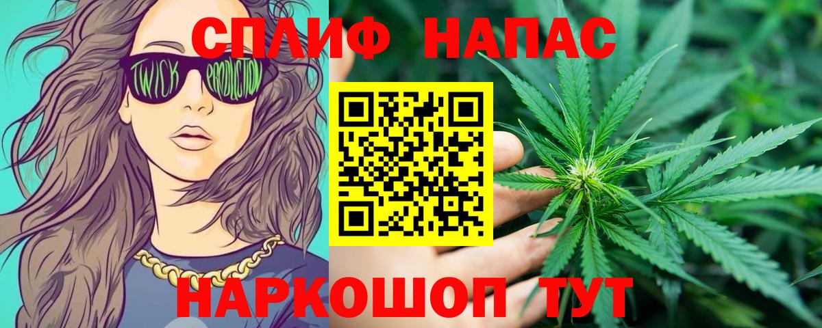 Канабис сатива Тихвин